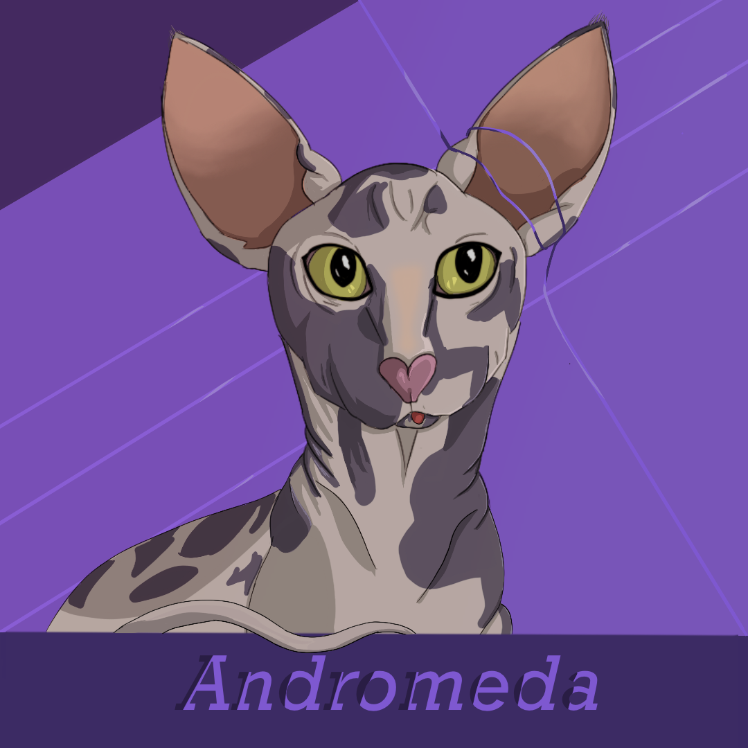 A cartoon sphynx cat on a purple background.